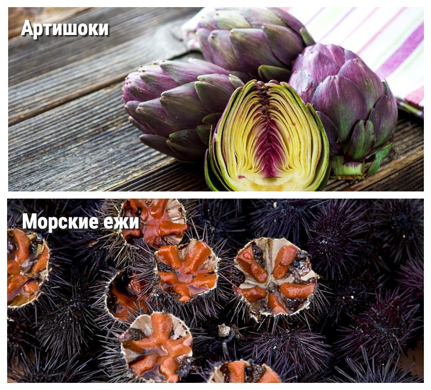 20 продуктов, которые непременно нужно попробовать
